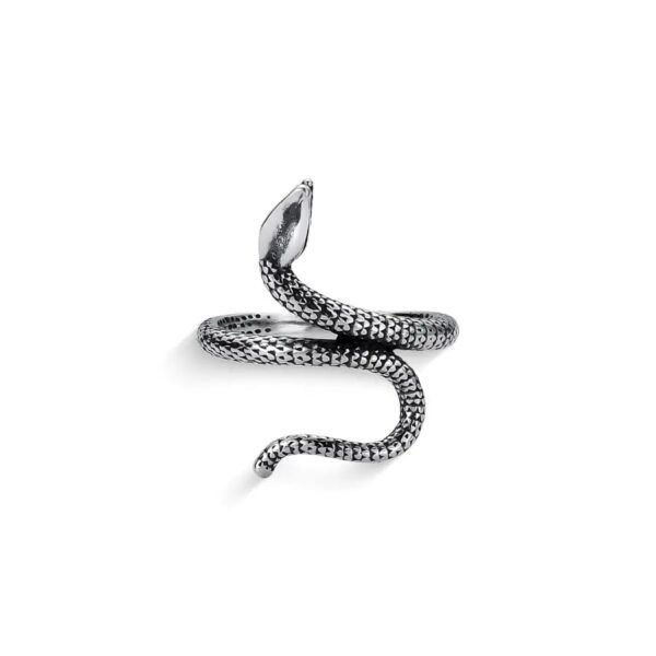 Anel Serpente - Imagem 2