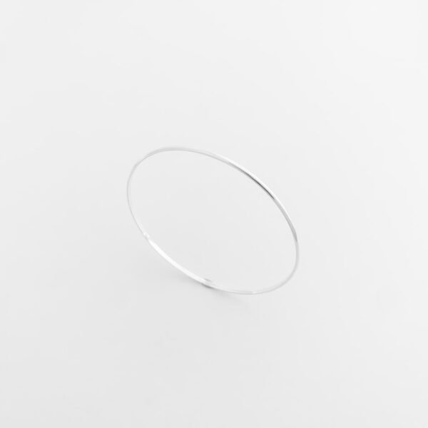 Pulseira Argola Fechada